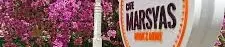 Cafe Marsyas